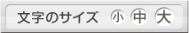 文字サイズの変更